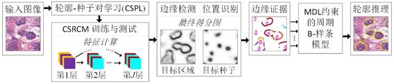 说明:图31