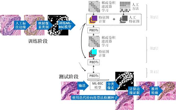 说明:图41_mo